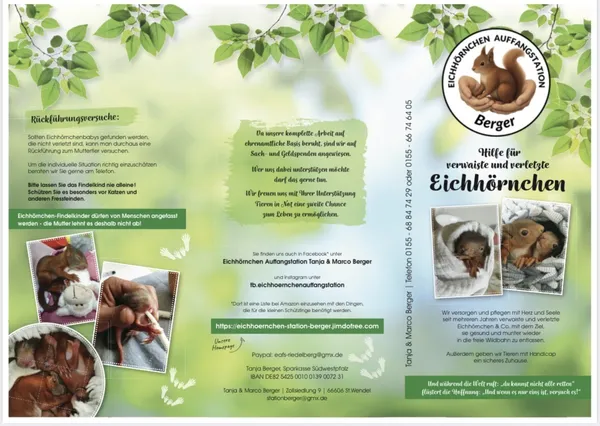 Flyer der Station „Hilfe für verwaiste und verletzte Eichhörnchen“ mit Logo, Fotos von Jungtieren, Hinweisen zu Rückführungsversuchen und Kontaktdaten.