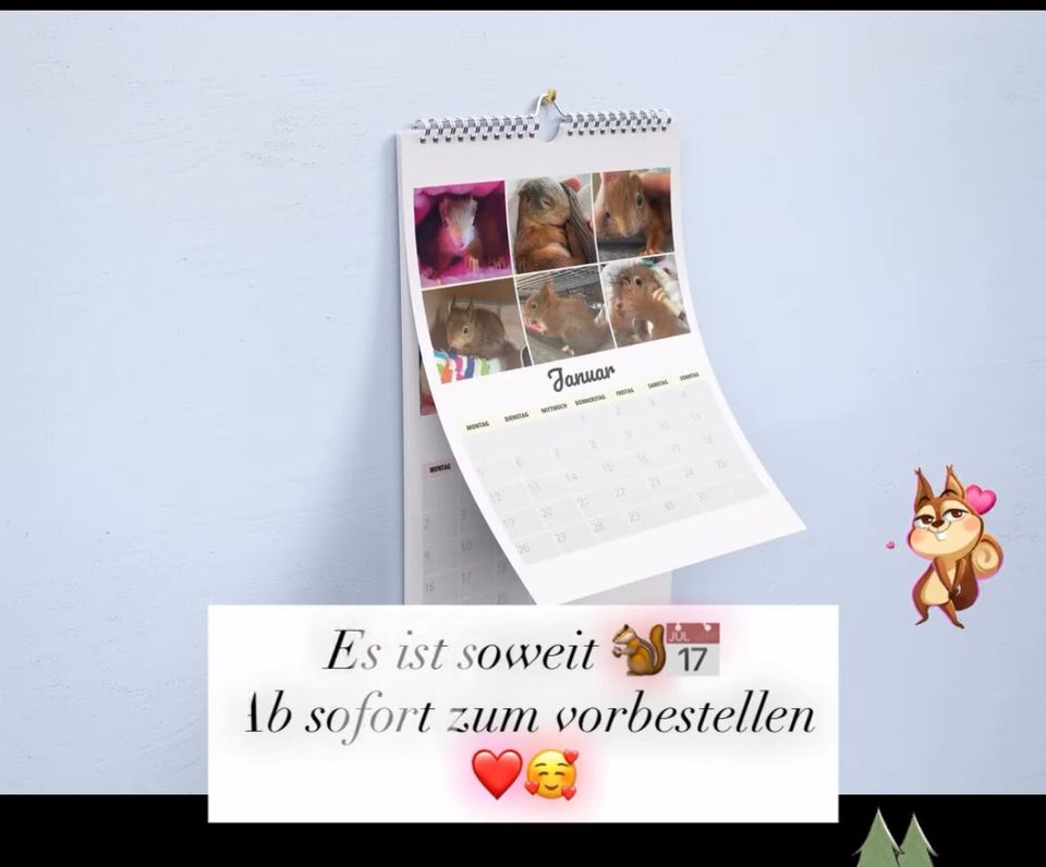 Ein aufgeschlagener Wandkalender der Station mit Eichhörnchenfotos hängt an einer hellen Wand.