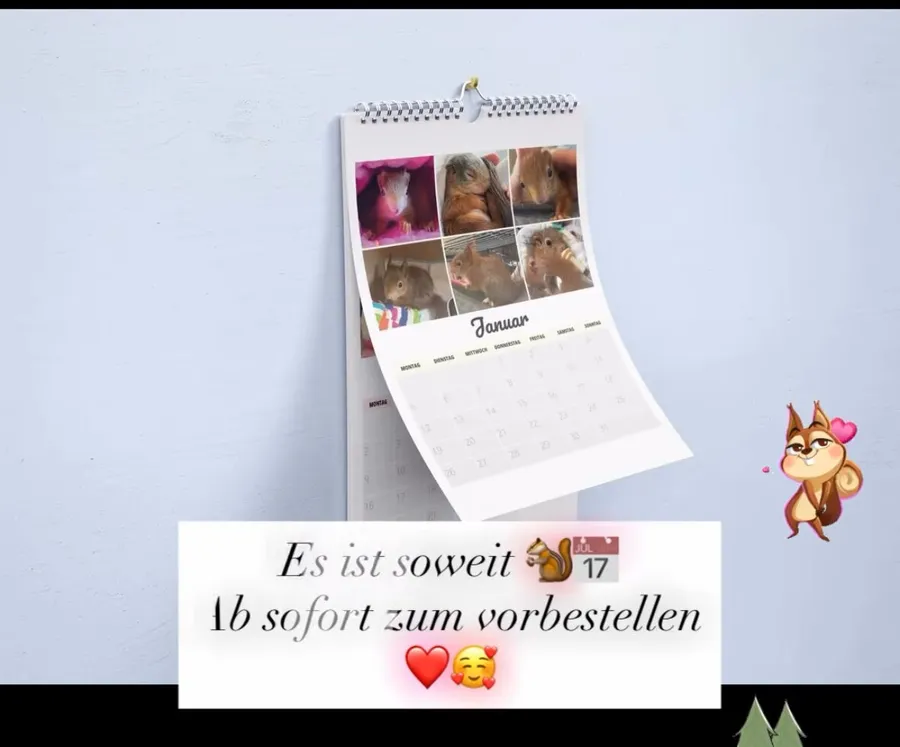 Ein aufgeschlagener Wandkalender der Station mit Eichhörnchenfotos hängt an einer hellen Wand.
